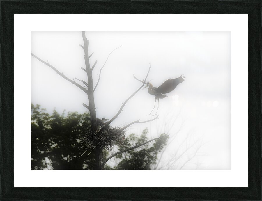 JBS 1831 Picture Frame print