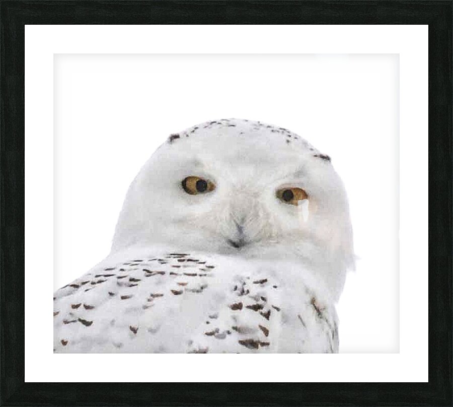 DSC 1876 2 Picture Frame print