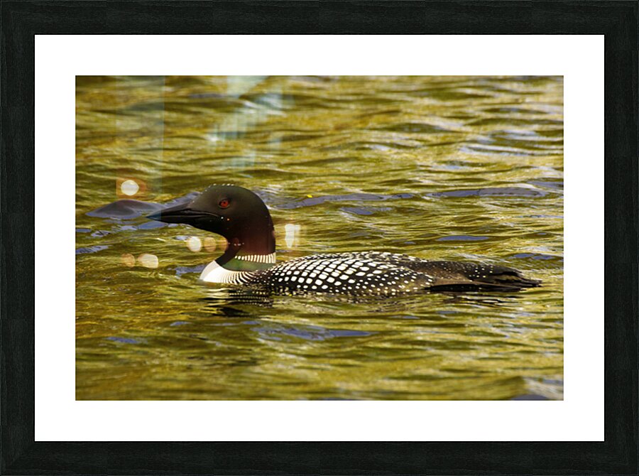 JBS 2224 Picture Frame print