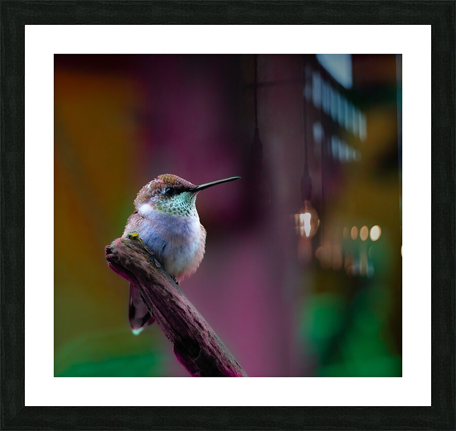 JBS 4382 2 Picture Frame print