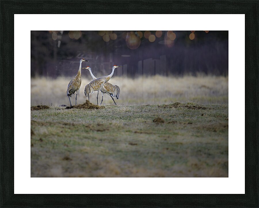 JBS 0650 Picture Frame print