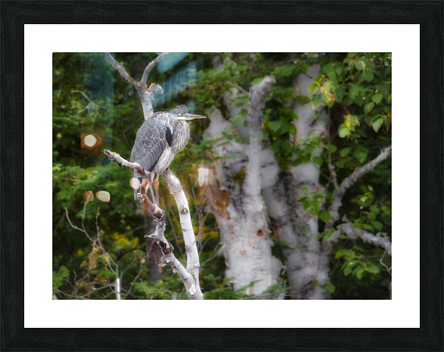 JBS 3060 Picture Frame print