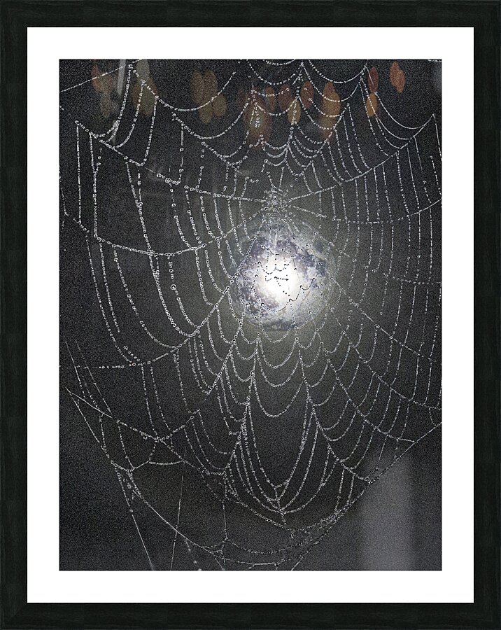 ZJS 8300  Picture Frame print