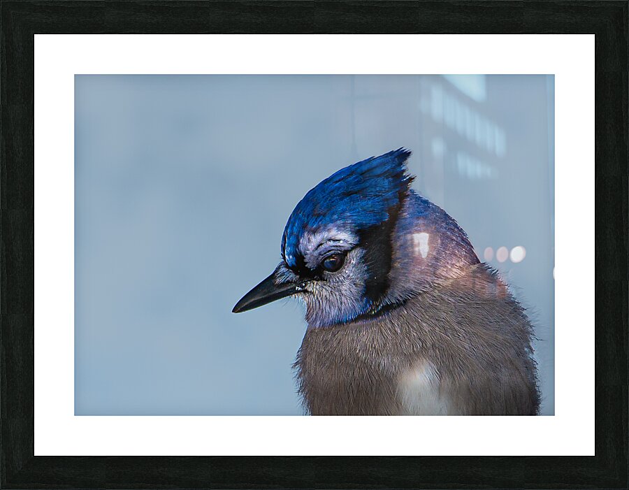 JBS 9514 Picture Frame print