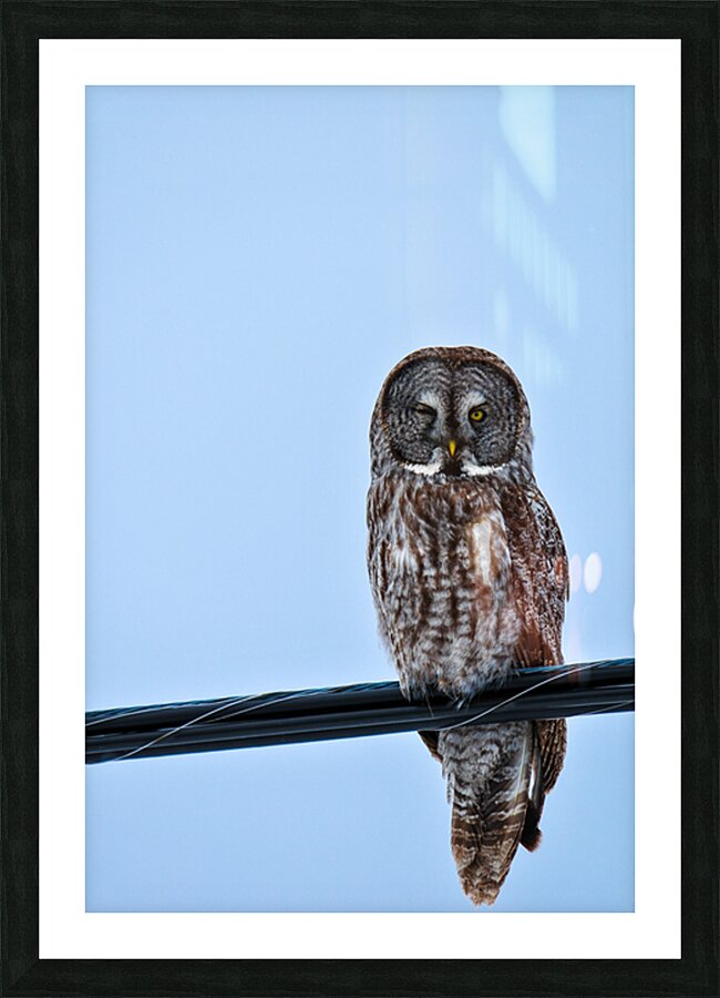 JBS 7303 Picture Frame print