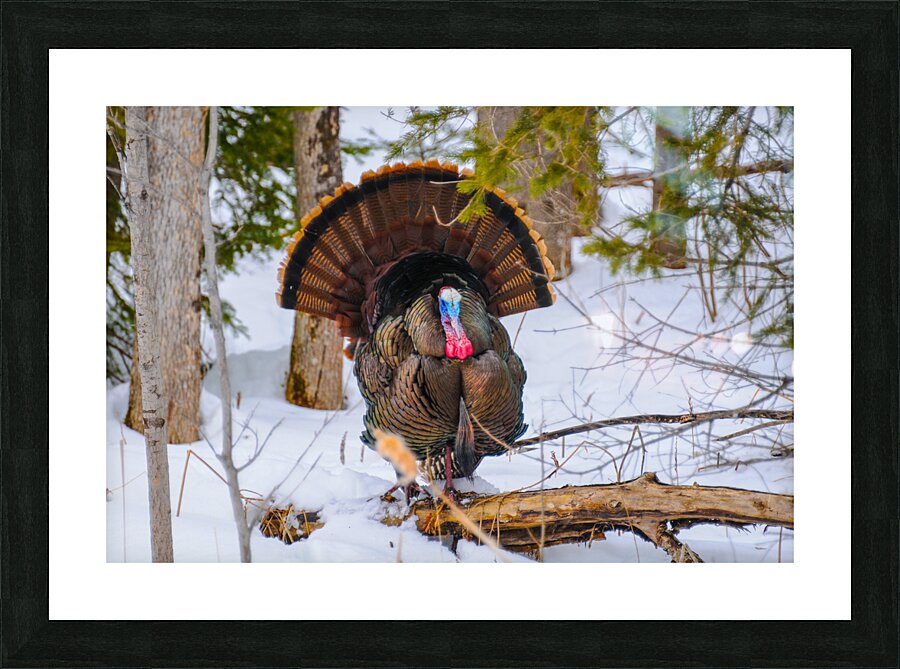 JBS 5958 Picture Frame print