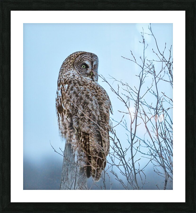 JBS 5394 Picture Frame print