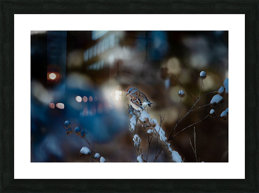 JBS 8295 Picture Frame print