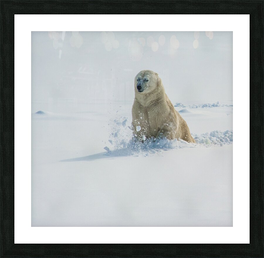 JBS 9346 2 Picture Frame print