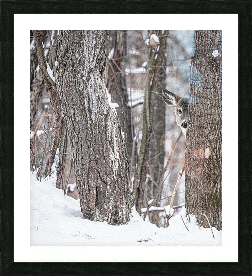 JBS 8855 Picture Frame print