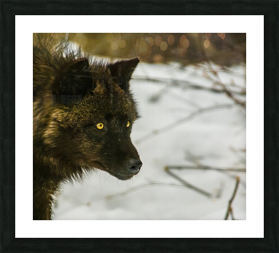 JBS 9070 Picture Frame print