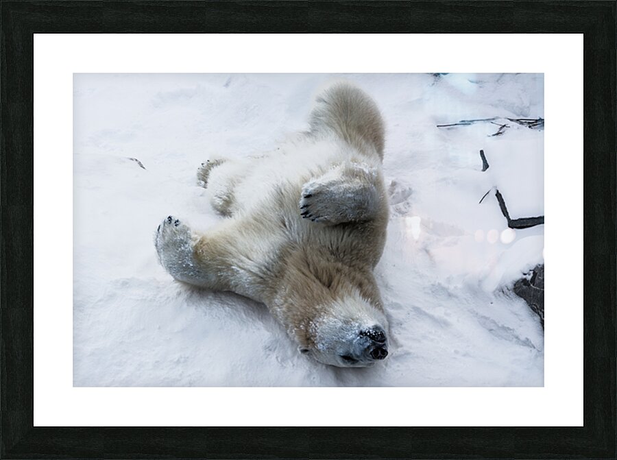 JBS 8390 Picture Frame print