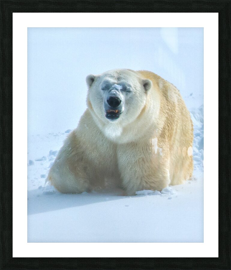 JBS 9357 Picture Frame print