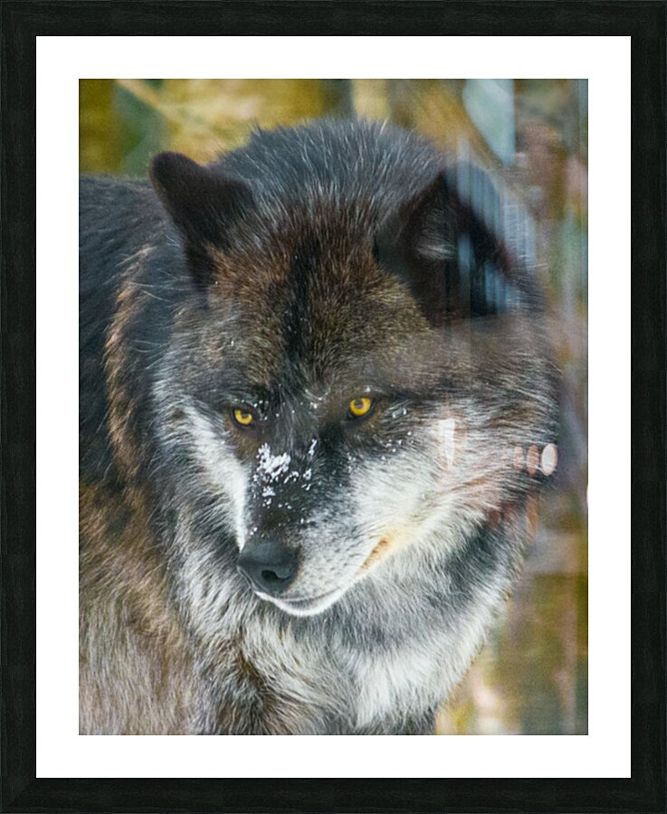 JBS 9093 Picture Frame print