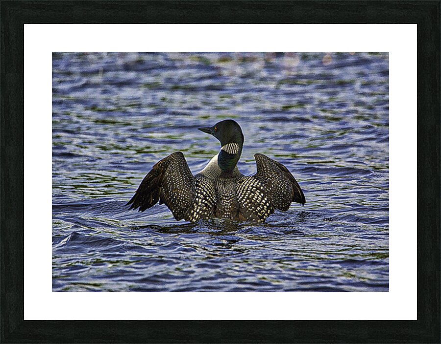 JBS 23862 Picture Frame print