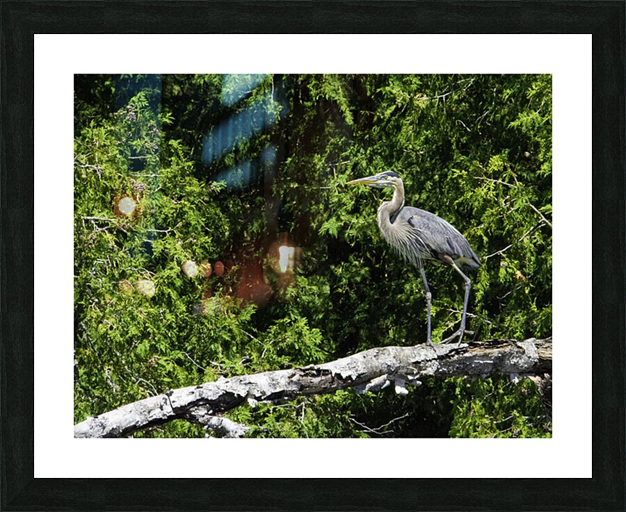 JBS 6779 Picture Frame print