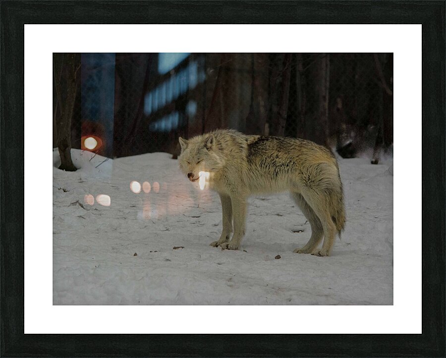 JBS 9056 Picture Frame print