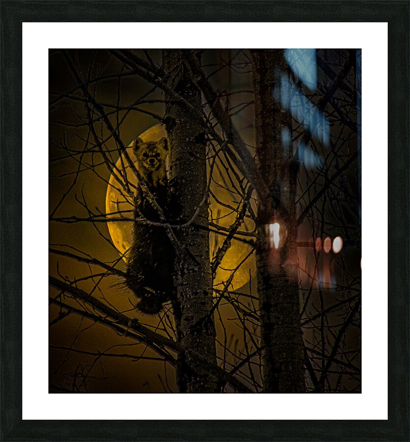 JBS 52971 Picture Frame print