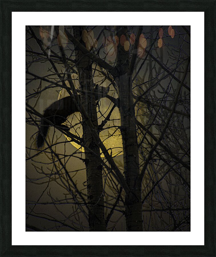 JBS 5295 Picture Frame print