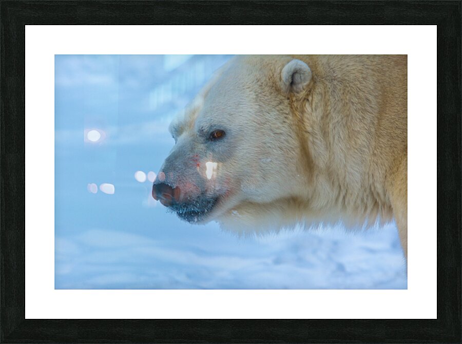 JBS 8465 Picture Frame print