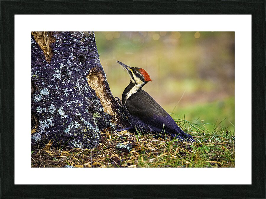 JBS 9742 Picture Frame print