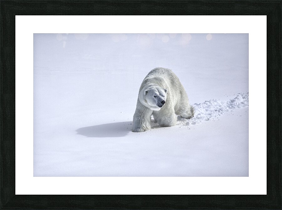 JBS 9366 Picture Frame print