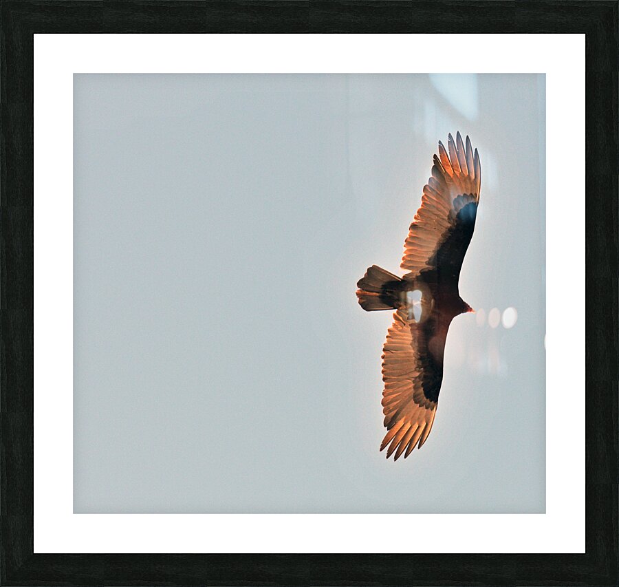 JBS 9485 2 Picture Frame print