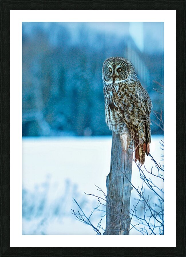 jbs 5420-2 Picture Frame print