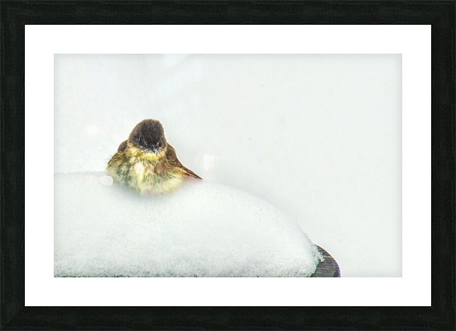 JBS 9269 Picture Frame print