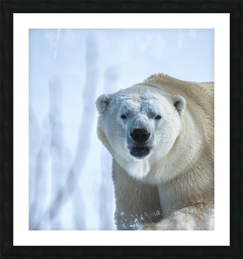 JBS 9392 Picture Frame print