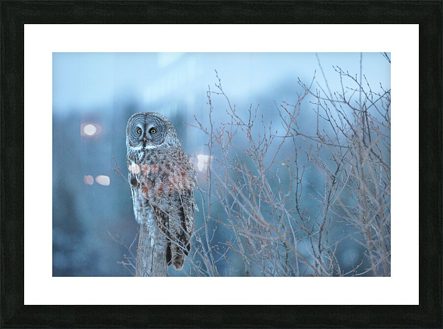 JBS 5393 Picture Frame print