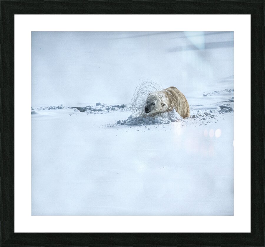 JBS 9336 Picture Frame print