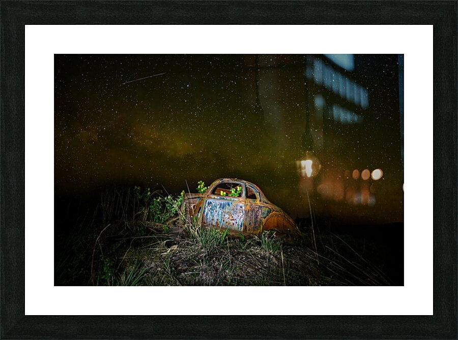 ZJS 9890 Picture Frame print