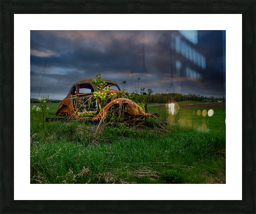 ZJS 9866 Picture Frame print