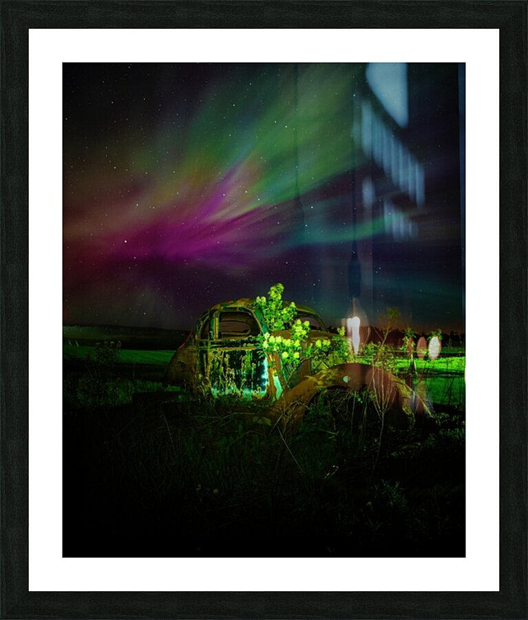 ZJS 9879 Picture Frame print