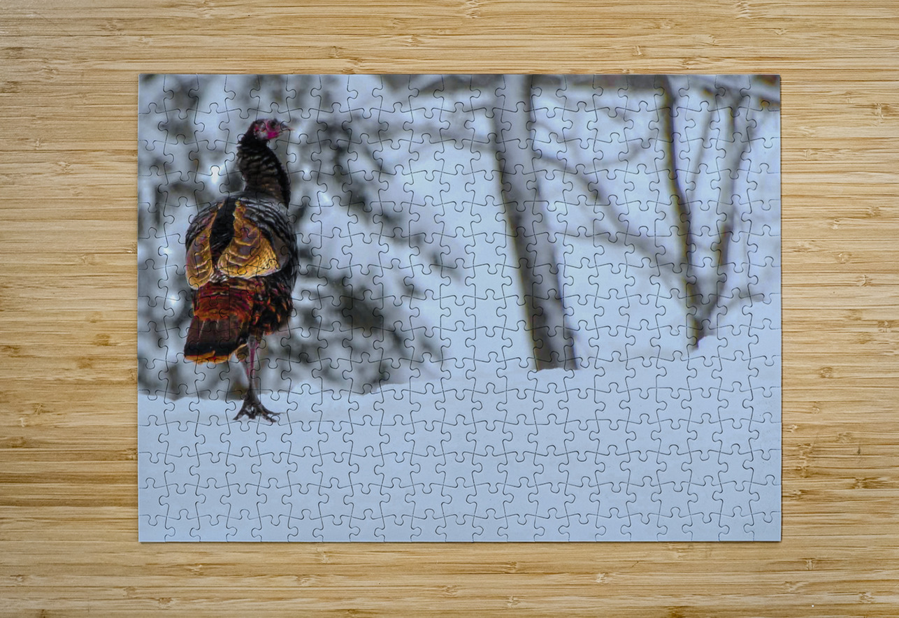 DSC 5553  James Shedden Photography Puzzle printing