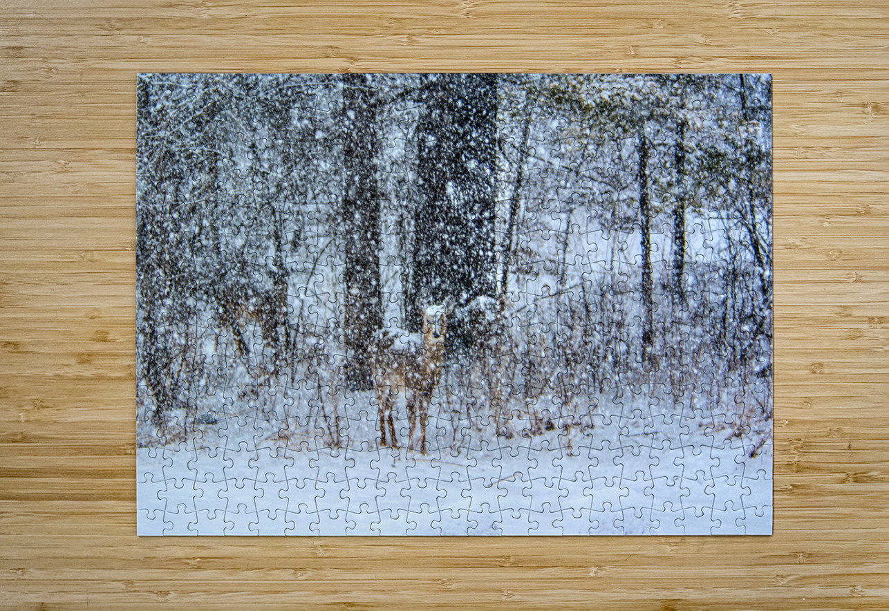 JBS 0383  James Shedden Photography Puzzle printing