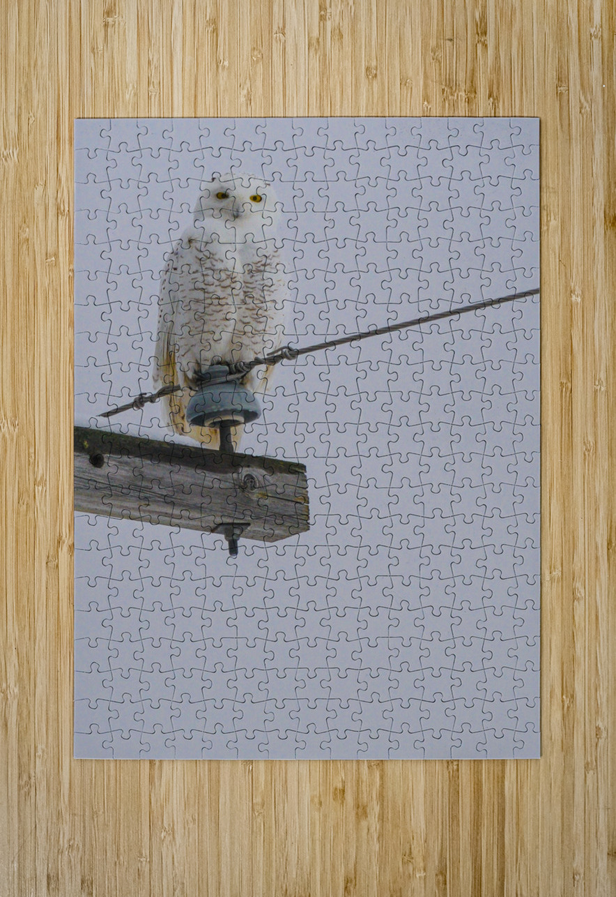 DSC 1897 James Shedden Photography Puzzle printing