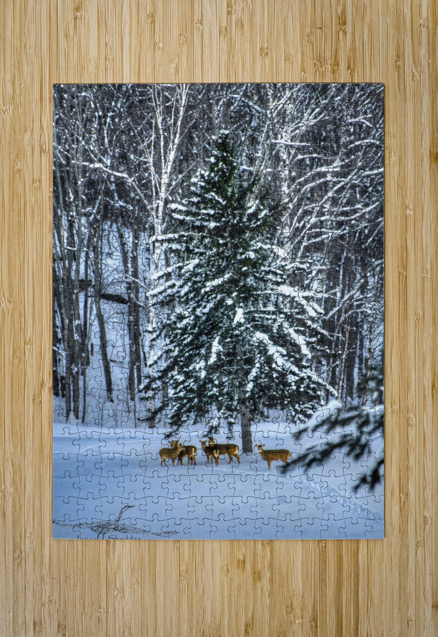 DSC 5638  James Shedden Photography Puzzle printing