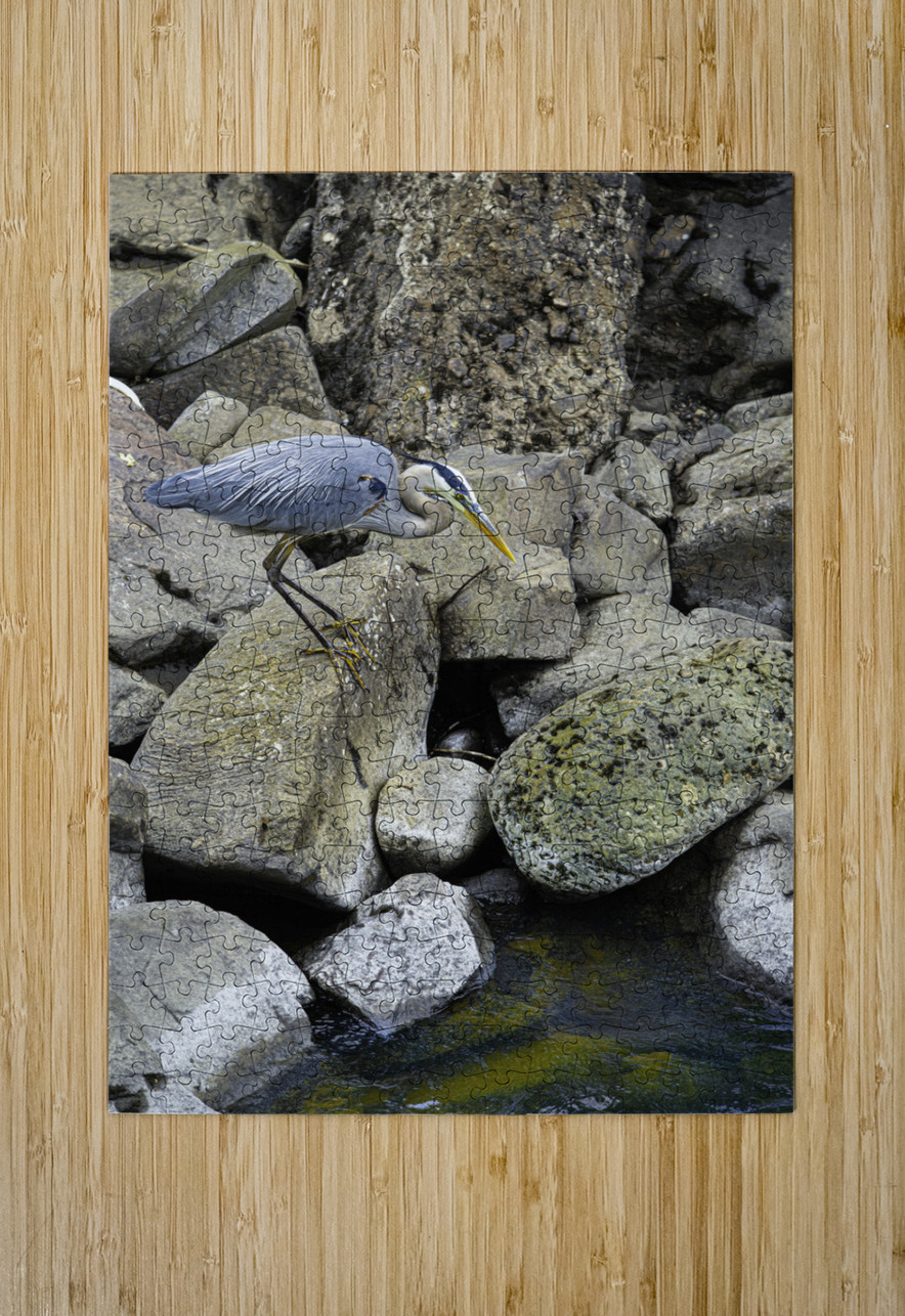 JBS 1629 James Shedden Photography Puzzle printing