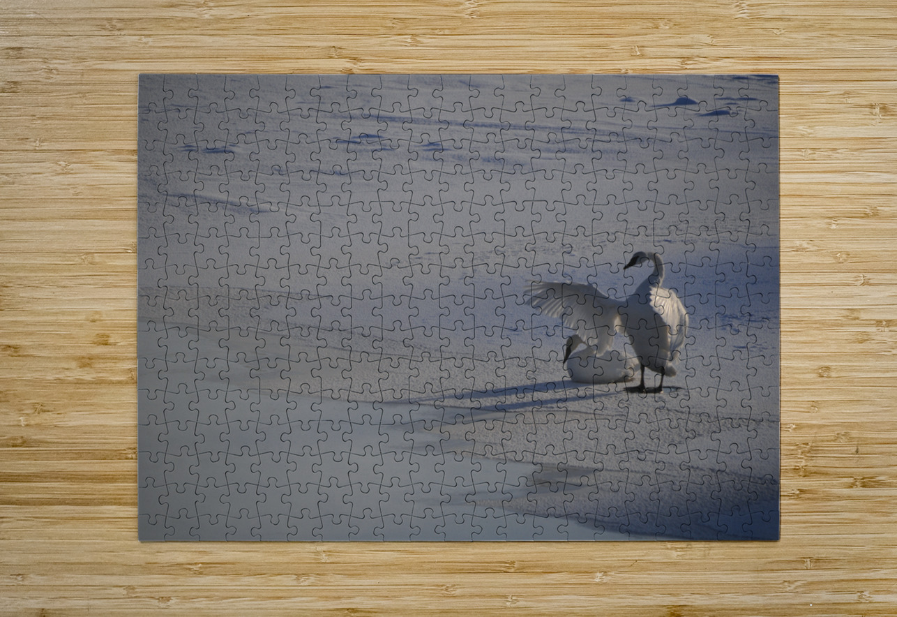 DSC 5806 James Shedden Photography Puzzle printing