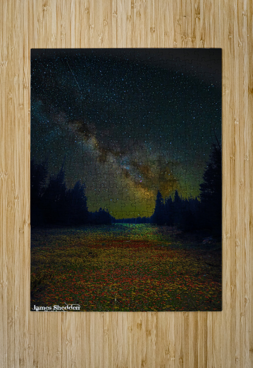JBS 4834  James Shedden Photography Puzzle printing