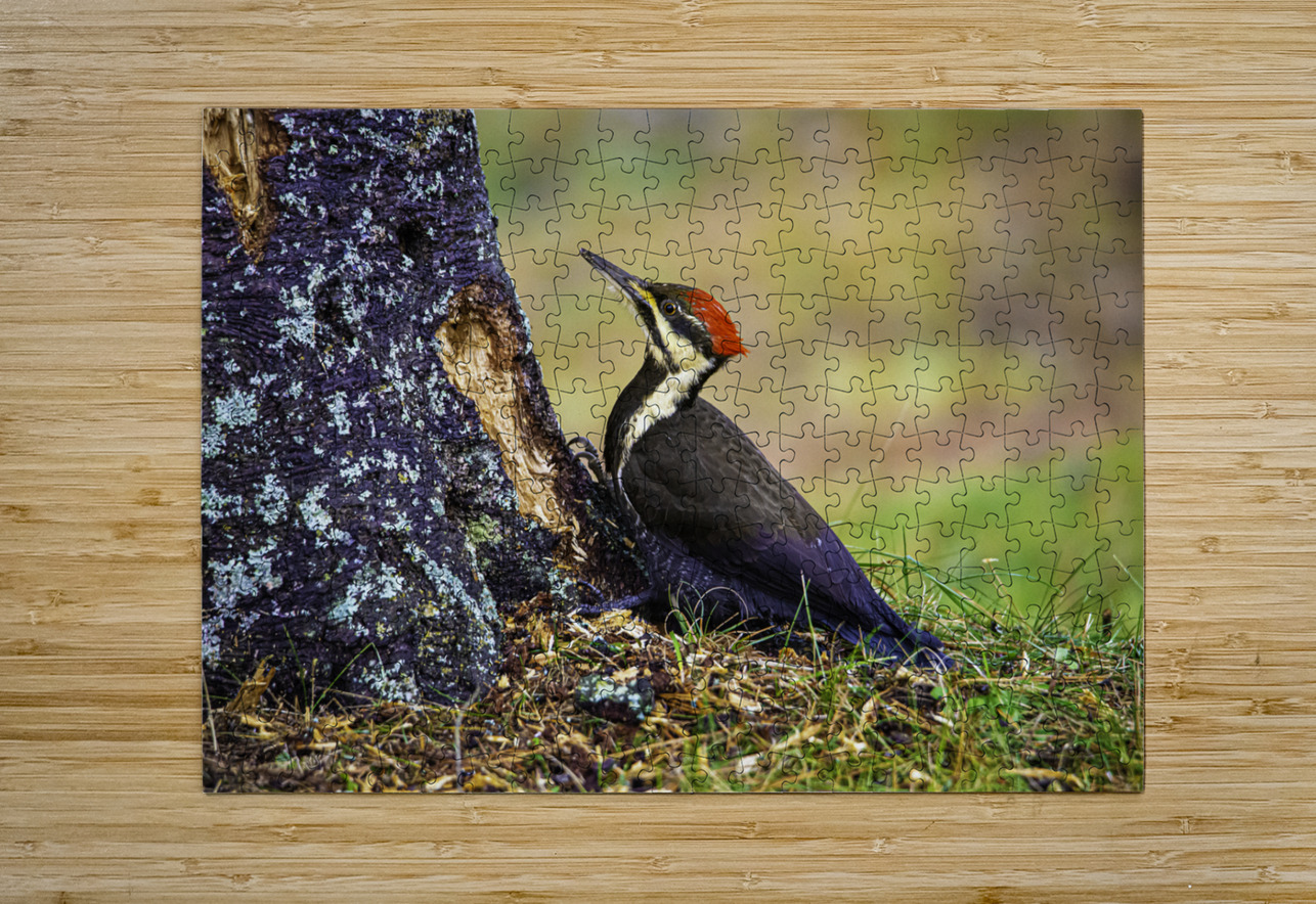 JBS 9742 1 James Shedden Photography Puzzle printing