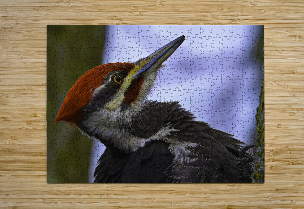 JBS 5301  James Shedden Photography Puzzle printing