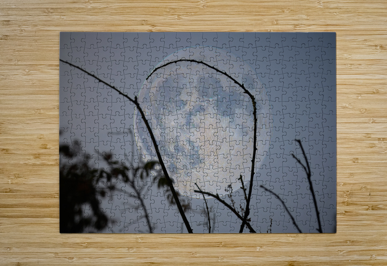 ZJS 8305  James Shedden Photography Puzzle printing