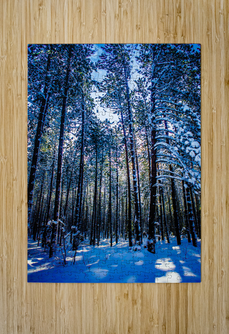 JBS 4409 James Shedden Photography Puzzle printing