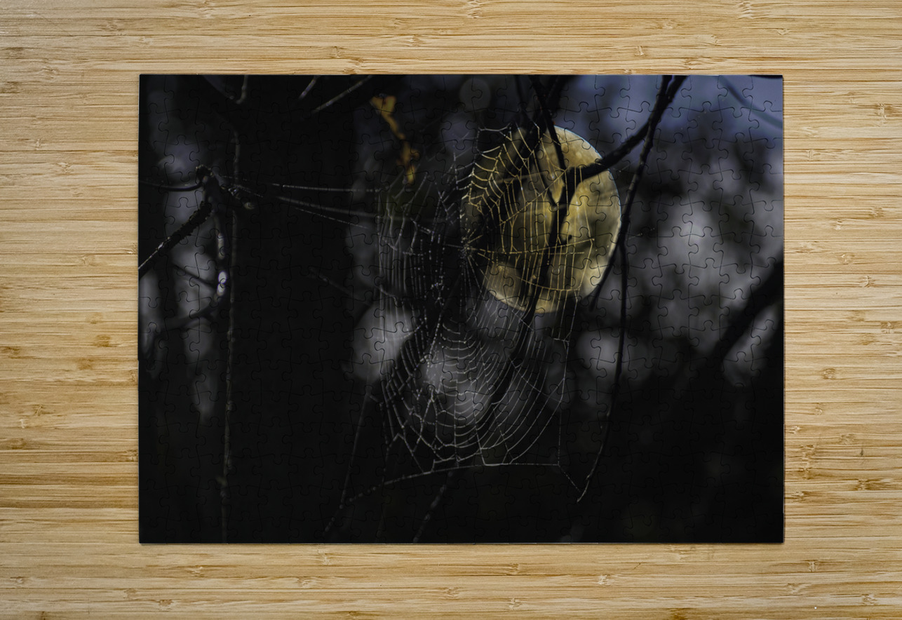 DSC 4847 James Shedden Photography Puzzle printing