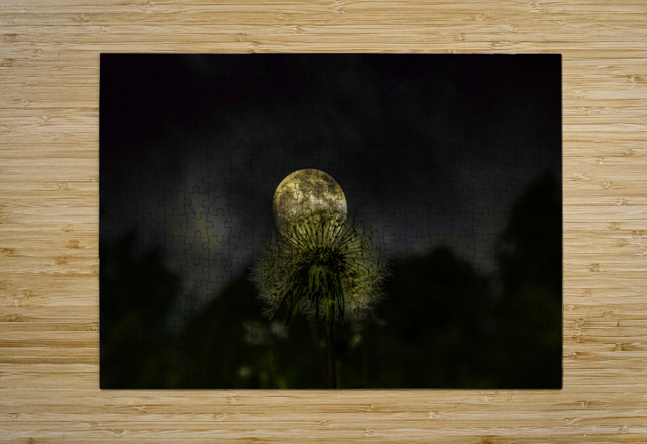 JBS 4984 1 James Shedden Photography Puzzle printing