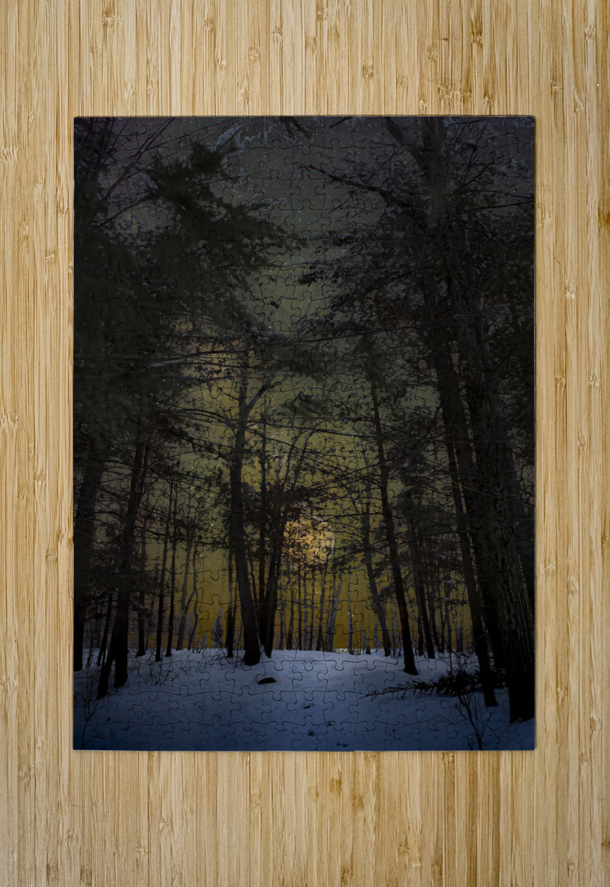 JBS 8747  James Shedden Photography Puzzle printing