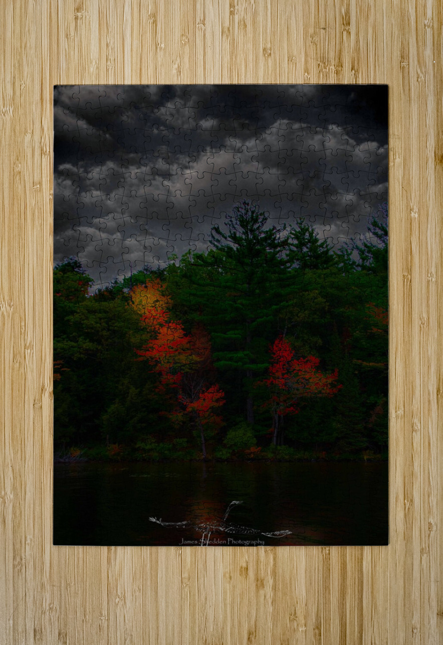 JBS 4749  James Shedden Photography Puzzle printing